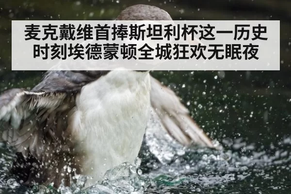 麦克戴维首捧斯坦利杯这一历史时刻埃德蒙顿全城狂欢无眠夜
